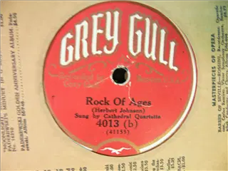 small_grey gull 4013 b.webp